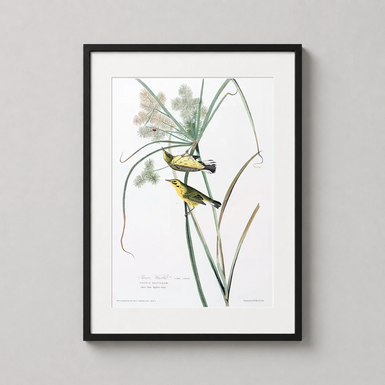 Room mockup of Prairie Warbler John James Audubon Birds of America Art Print, displayed as framed wall art in a bedroom setting as a portrait print with green and yellow tones.