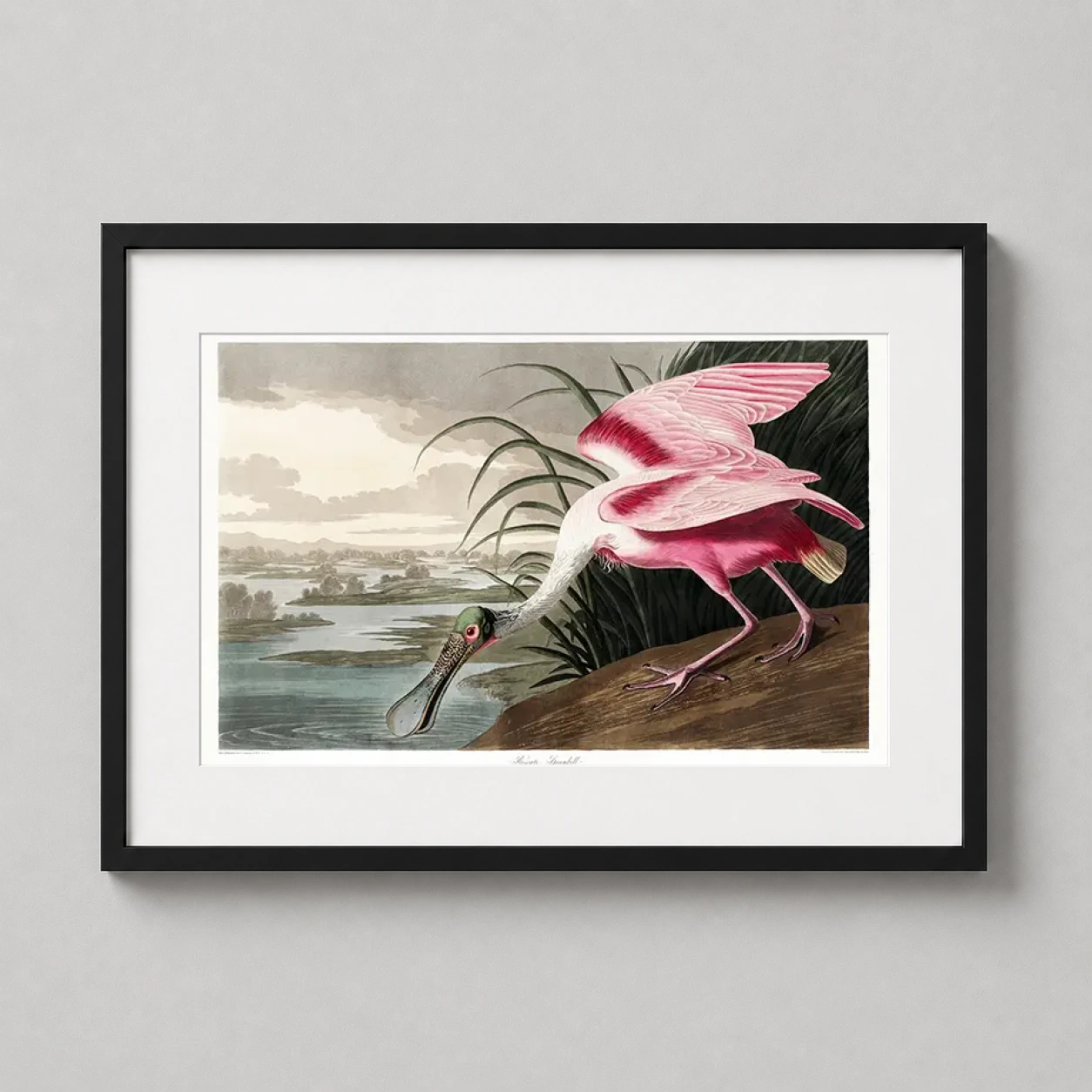 Room mockup of Roseate Spoonbill Bird Illustration by John James Audubon Art Print, displayed as framed wall art in a bedroom setting as a landscape print with pink tones.