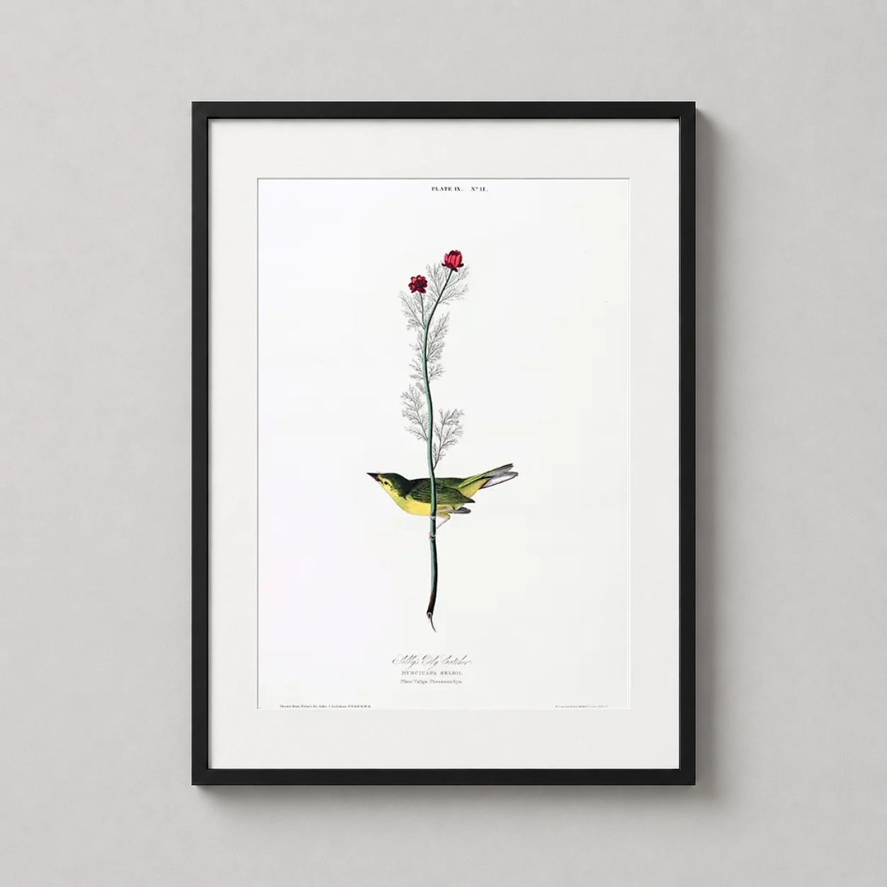 Room mockup of Selby's Flycatcher and Pheasant's Eye Bird Art Print, displayed as framed wall art in a bedroom setting as a portrait print with green, yellow, and red tones.