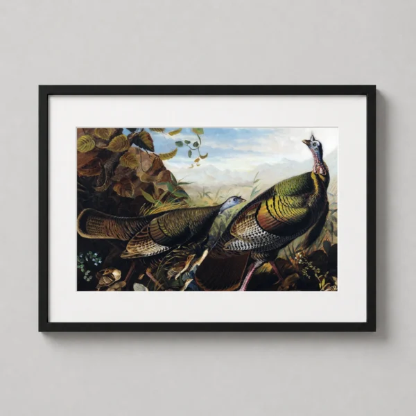 John James Audubon Wild Turkey Cock Hen and Young Art Print