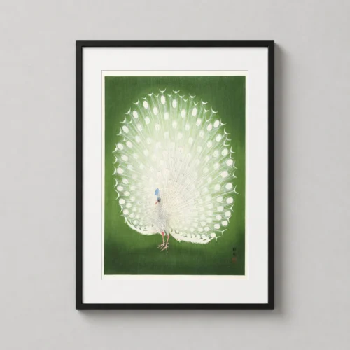 White Peacock Japanese Woodblock Ohara Koson Wall Art Print