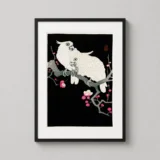 Japanese Cockatoo and Plum Blossom Art Print, Ohara Koson
