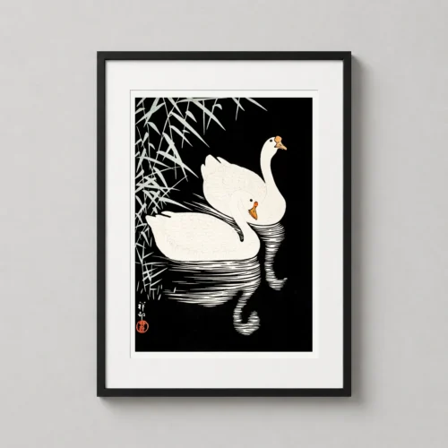 White Chinese Geese Swimming by Ohara Koson Japanese Art Print