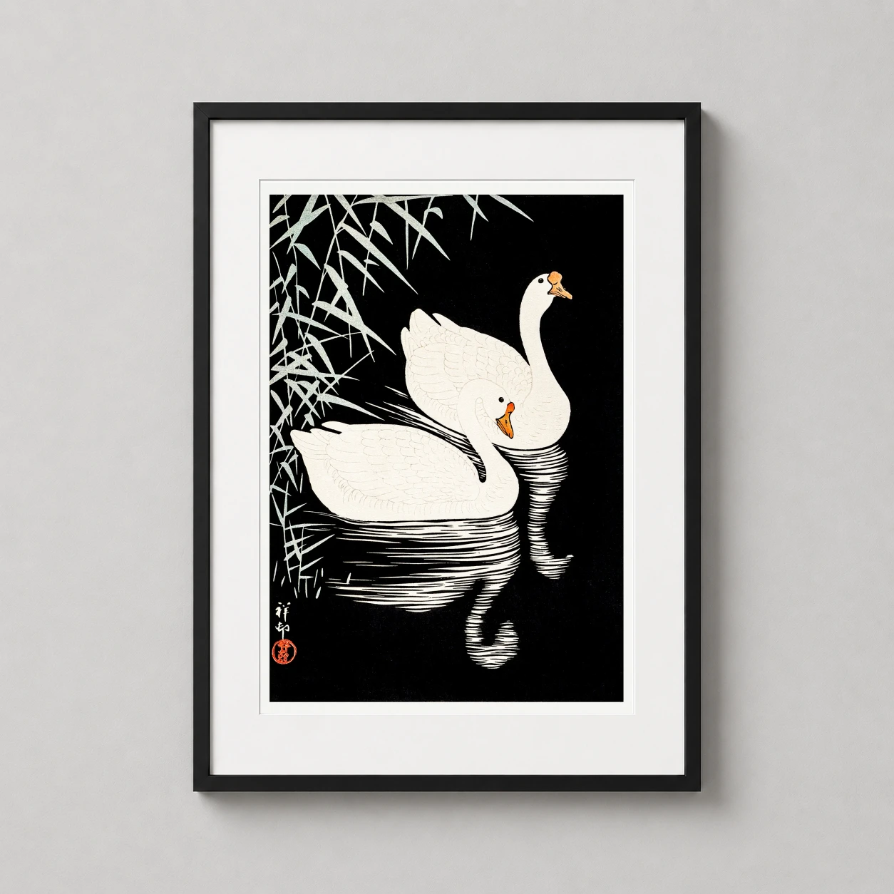 Chinese Geese Swimming Ohara — pair of elegant white Chinese geese glide through ripples of water