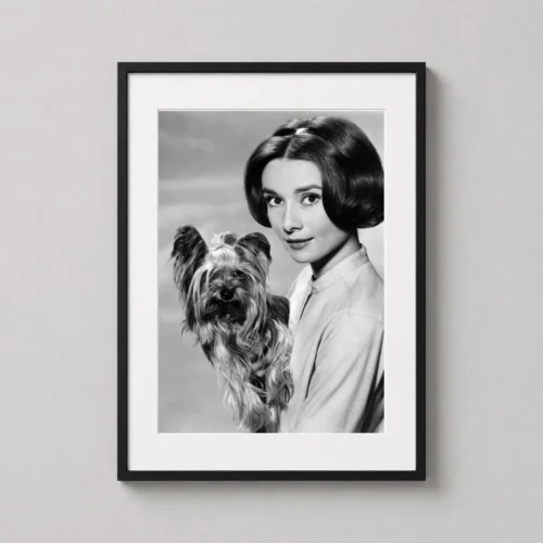 Audrey Hepburn Holding a Yorkshire Terrier 1960s Photography Print