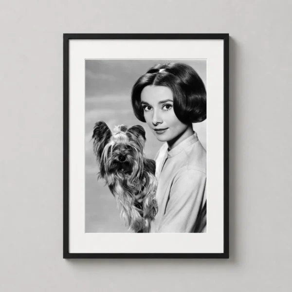 Audrey Hepburn Holding a Yorkshire Terrier 1960s Photography Print