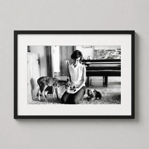 Audrey Hepburn and Pippin the Fawn Beverly Hills Photography Print