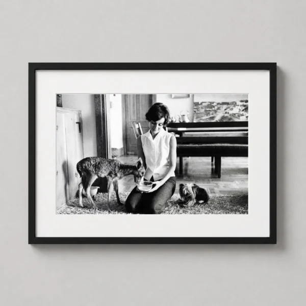 Audrey Hepburn and Pippin the Fawn Beverly Hills Photography Print
