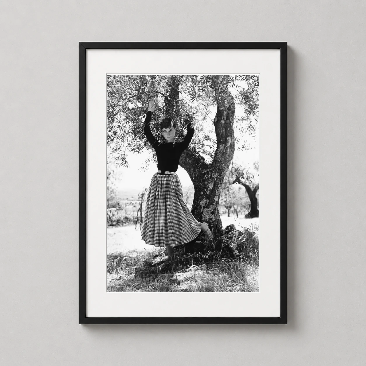 Audrey Hepburn Italy 1955 — audrey Hepburn leans gracefully against an olive tree in the Italian