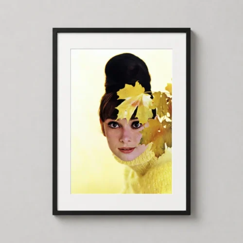Audrey Hepburn Autumn Leaves June 1963 Photography Print