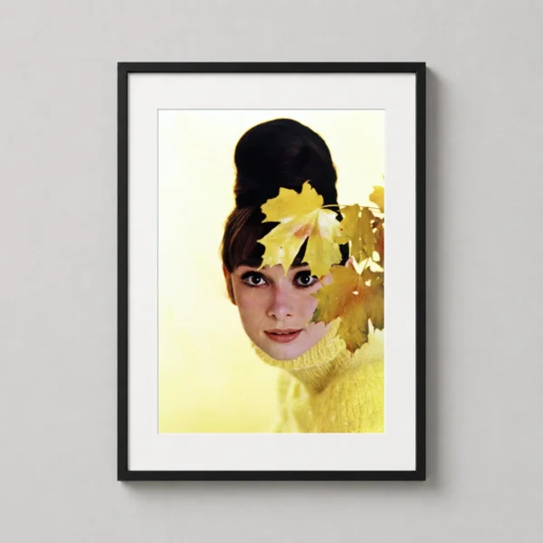Audrey Hepburn Autumn Leaves June 1963 Photography Print