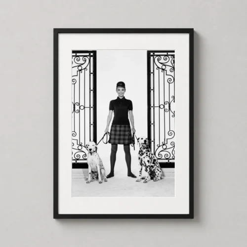 Audrey Hepburn with Dalmatians Publicity Portrait Photography Print