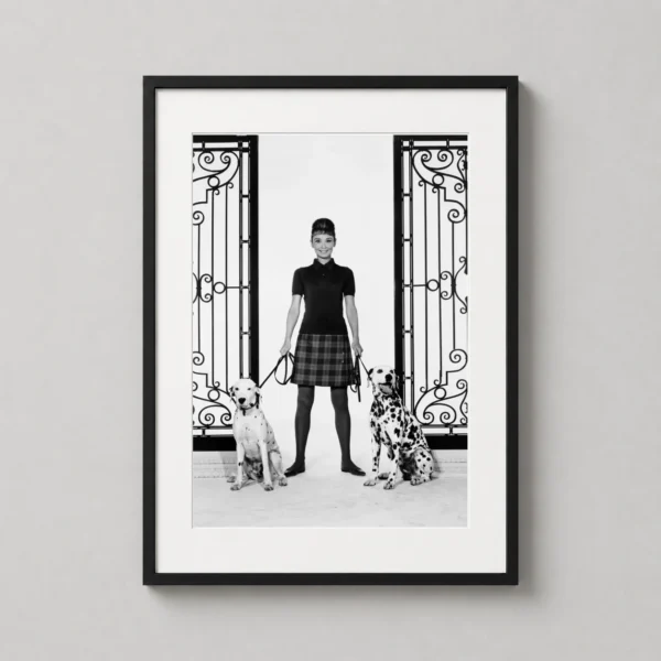 Audrey Hepburn with Dalmatians Publicity Portrait Photography Print