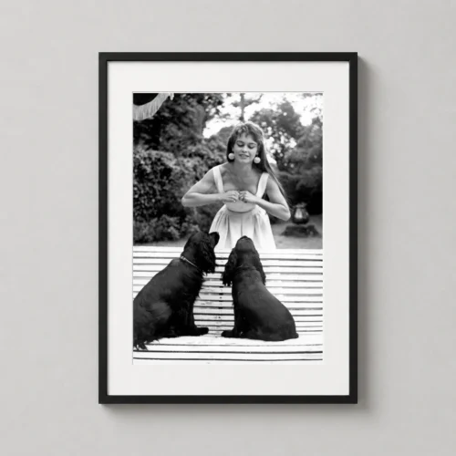 Brigitte Bardot and Her Dogs 1954 Vintage Photography Print