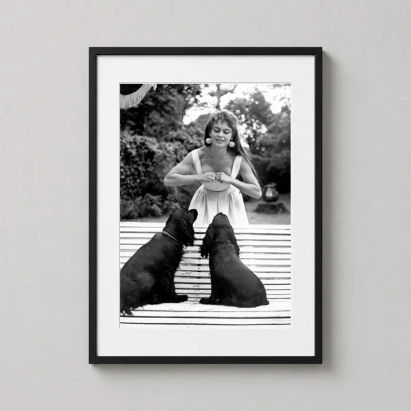 Brigitte Bardot and Her Dogs 1954 Vintage Photography Print