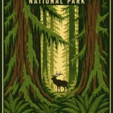 Olympic National Park Vintage Rainforest Elk Travel Poster