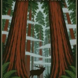 Redwood National Park California Vintage Style Art Print
