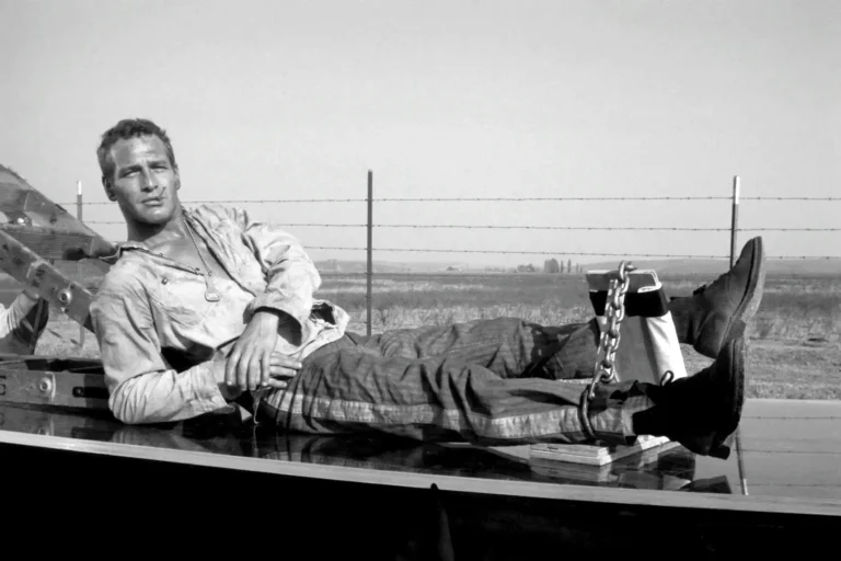 Paul Newman — this Cool Hand Luke Paul Newman image focuses on the film-era identity