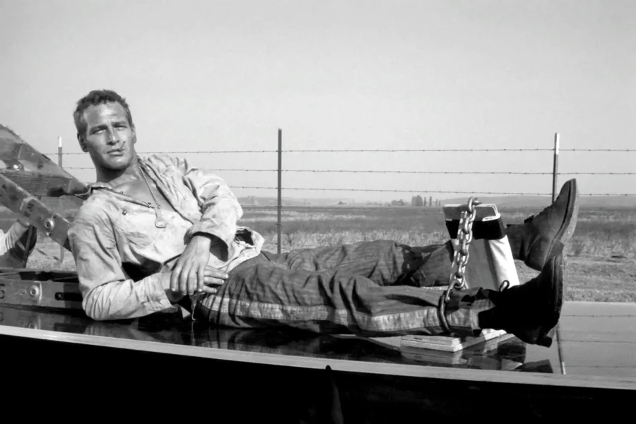 Cool Hand Luke Paul Newman poster showing a black and white film-era photo.