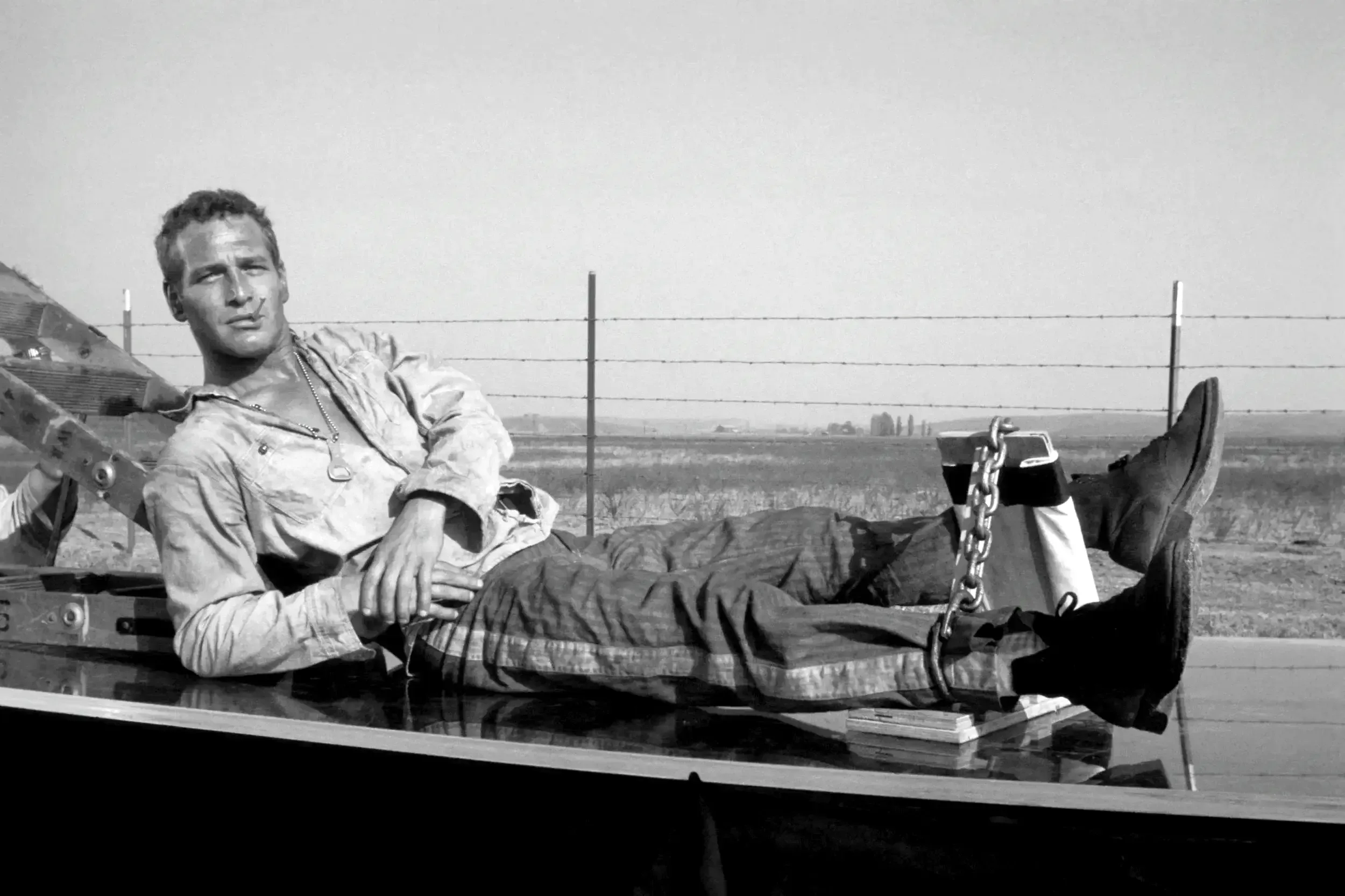 Paul Newman — this Cool Hand Luke Paul Newman image focuses on the film-era identity