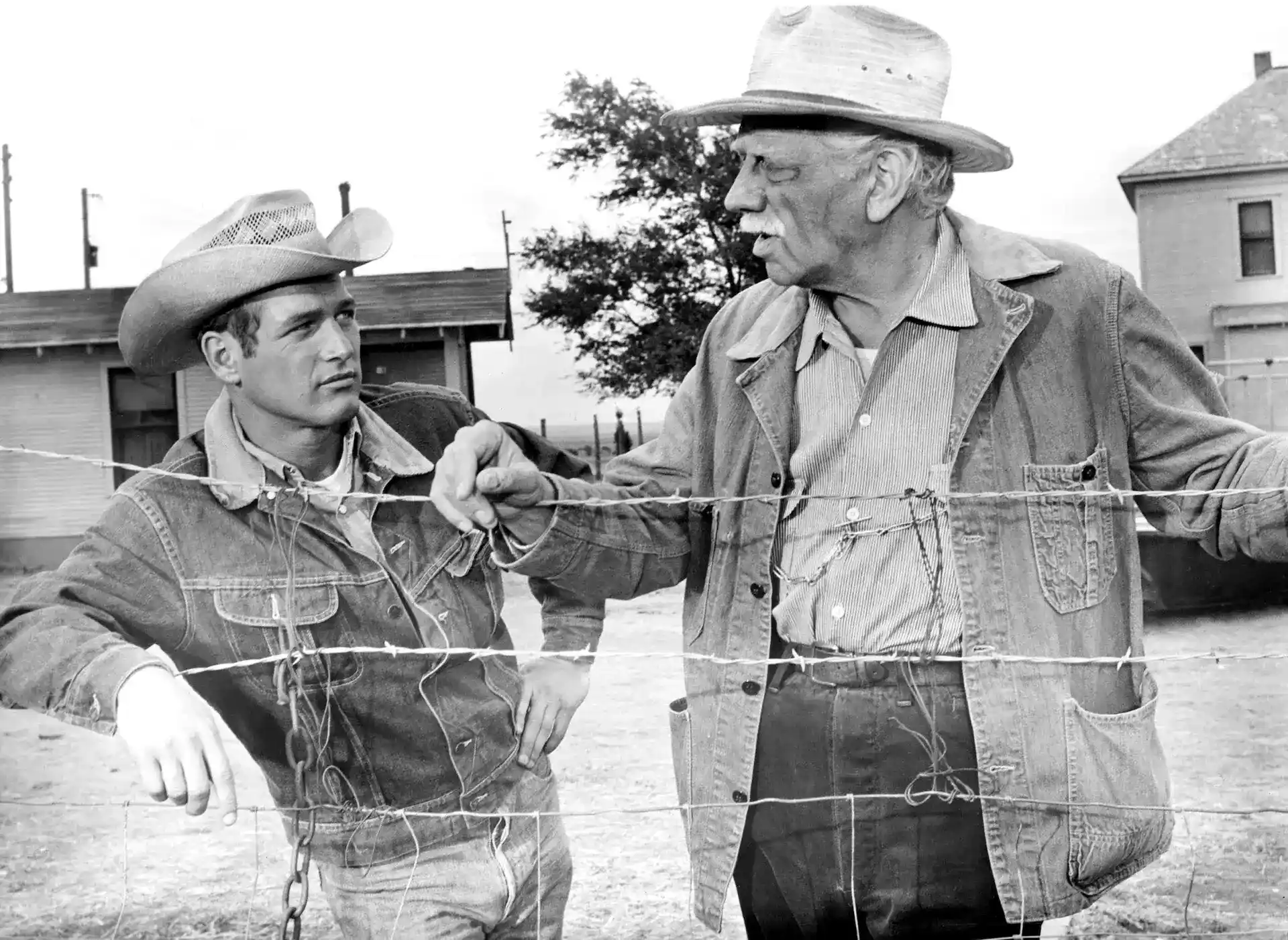 Hud — hud-related ranch scene shows Paul Newman near barbed wire with cowboy