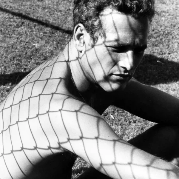 Paul Newman 1967 Net Shadow Poster, Film-Era Portrait Photography Print