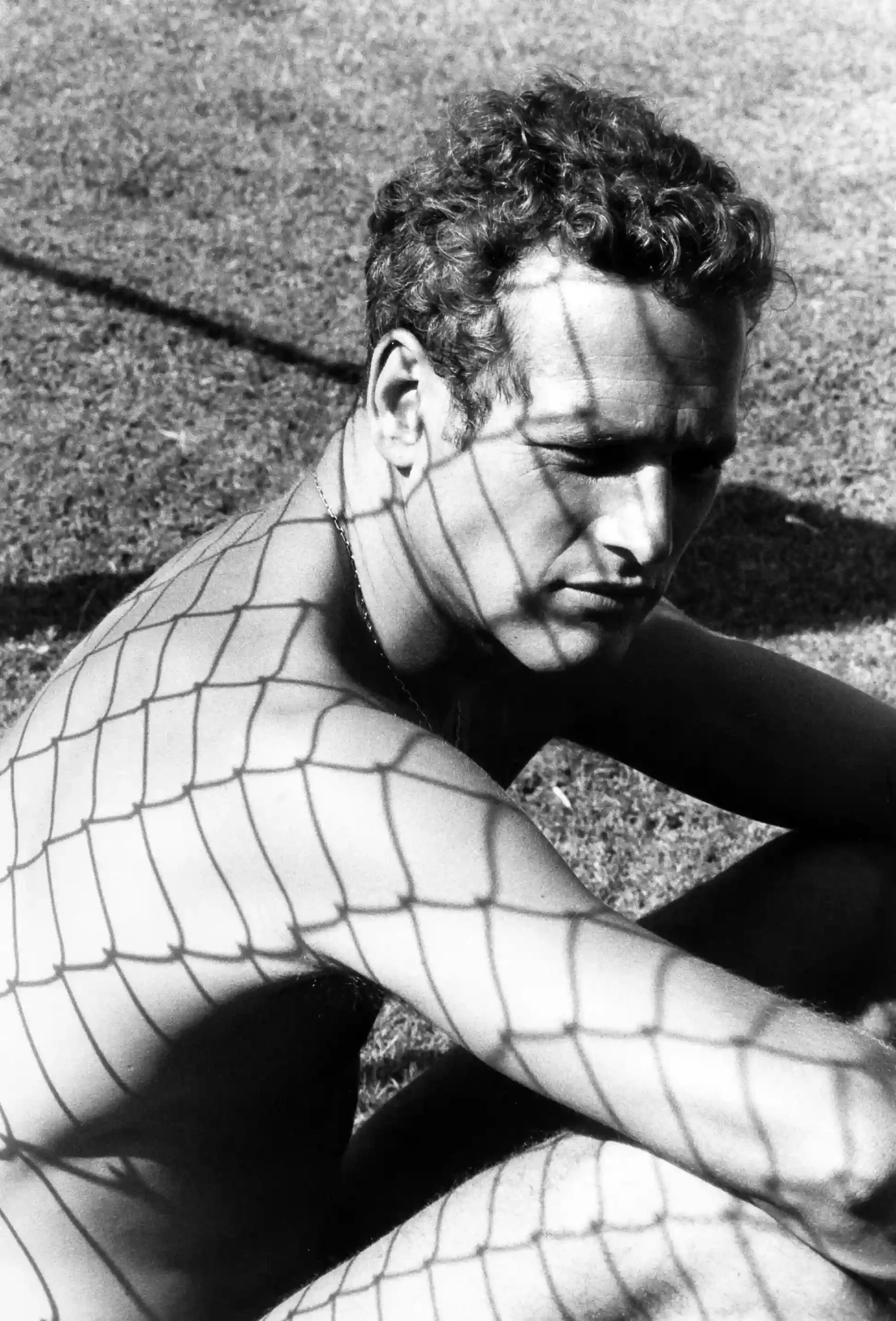 Paul Newman — this 1967 portrait places Paul Newman under a pattern of net-like