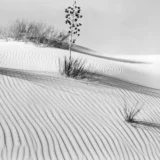 Brett Weston Untitled White sands New mexico 1946 Photography Print