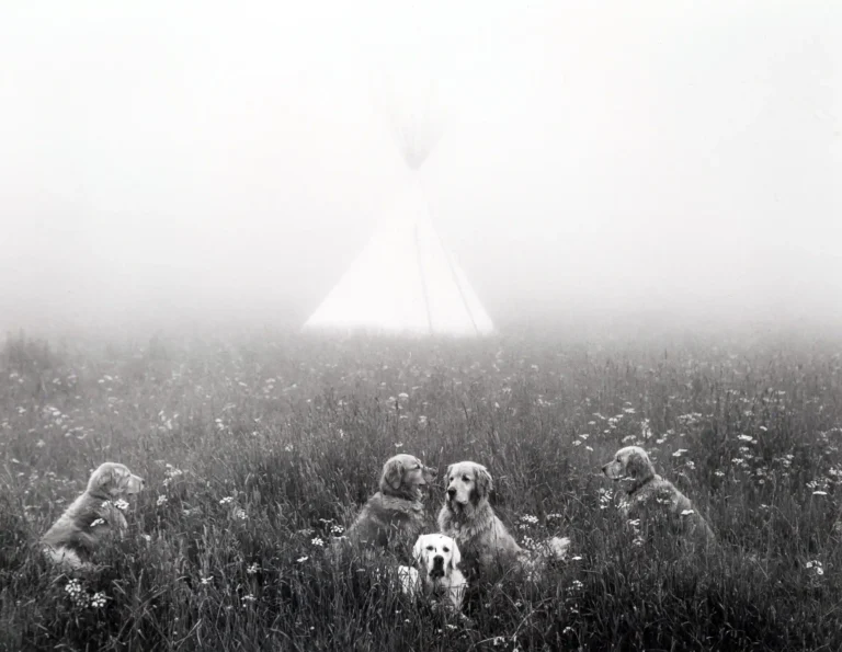 Clean artwork view of Little Bear Ranch Poster, Bruce Weber 1997 Photography Print. Bruce Weber’S Gang At Little Bear Ranch, Montana, 1997 is the detail that makes the product searchable, collectible, and easier to place on a wall.