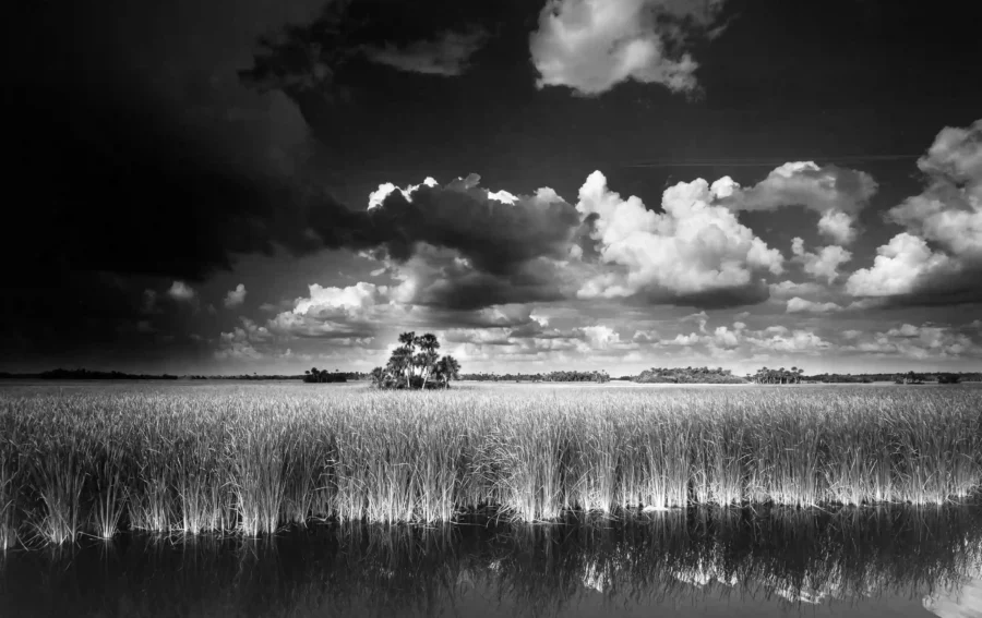 Clyde Butcher poster showing Ochopee in the western Everglades with wetland scale.
