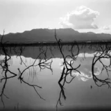 Dick Arentz Four Photographs 1983-1989 Photography Print