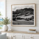 Eel River Photo Print, Edward Weston 1937 Poster