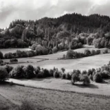 Eel River Photo Print, Edward Weston 1937 Poster