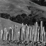Edward Weston Fence Old Road Big sur 1935 Photography Print