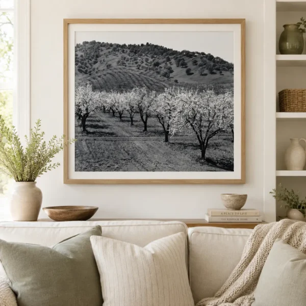 Edward Weston Solano County Orchard 1939 Photography Print
