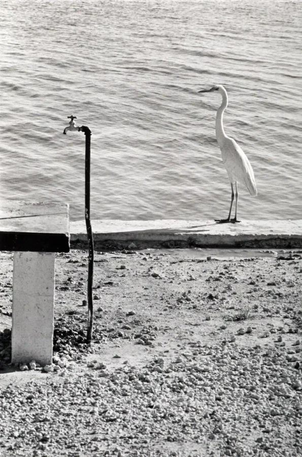 Elliott Erwitt poster showing Florida Keys beach scene, 1968