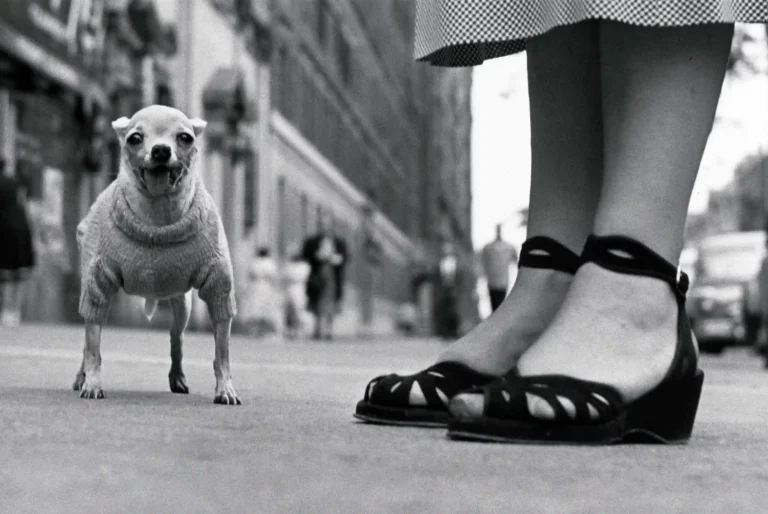 Clean artwork view of Erwitt New York Poster, Elliott Erwitt 1946 Photography Print. Erwitt New York Poster (1946) focuses on Elliott Erwitt’s New York photograph from 1946 by Elliott Erwitt. Printed to order on smooth matte paper.