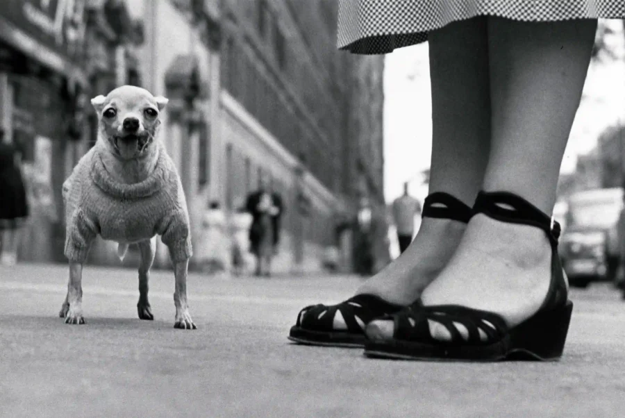 Elliott Erwitt poster showing postwar New York street scene, 1946