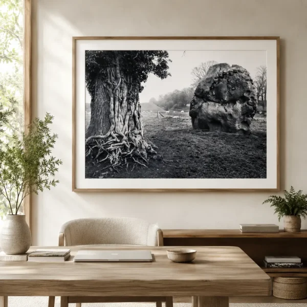 Paul Caponigro Stone and Tree Avebury England 1967 Photography Print