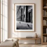 Leonard Freed Cats in Naples Italy 1956 Photography Print