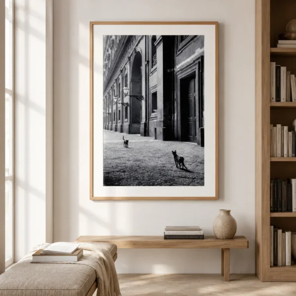 Leonard Freed Cats in Naples Italy 1956 Photography Print