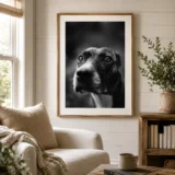 Keith Carter Lost Dog 1992 Photography Print