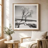 Black and White Snowy Trees Print Photography Print