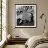 Mary Ellen Mark Girl with Dogs Benares India 1989 Photography Print