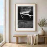 Toni Frissell Weeki wachee Spring Florida Photography Print