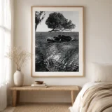 Jerry Uelsmann Untitled Sleeping at the Photography Print