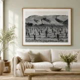 Edward Weston Vineyard Clear Lake 1939 Photography Print