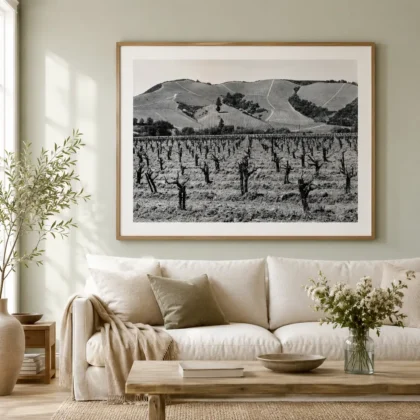 Edward Weston Vineyard Clear — vineyard Clear Lake Photography Print featuring Vineyard Clear Lake