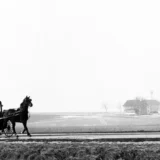 George Tice Horse and Buggy Lancaster Pa 1961 Photography Print