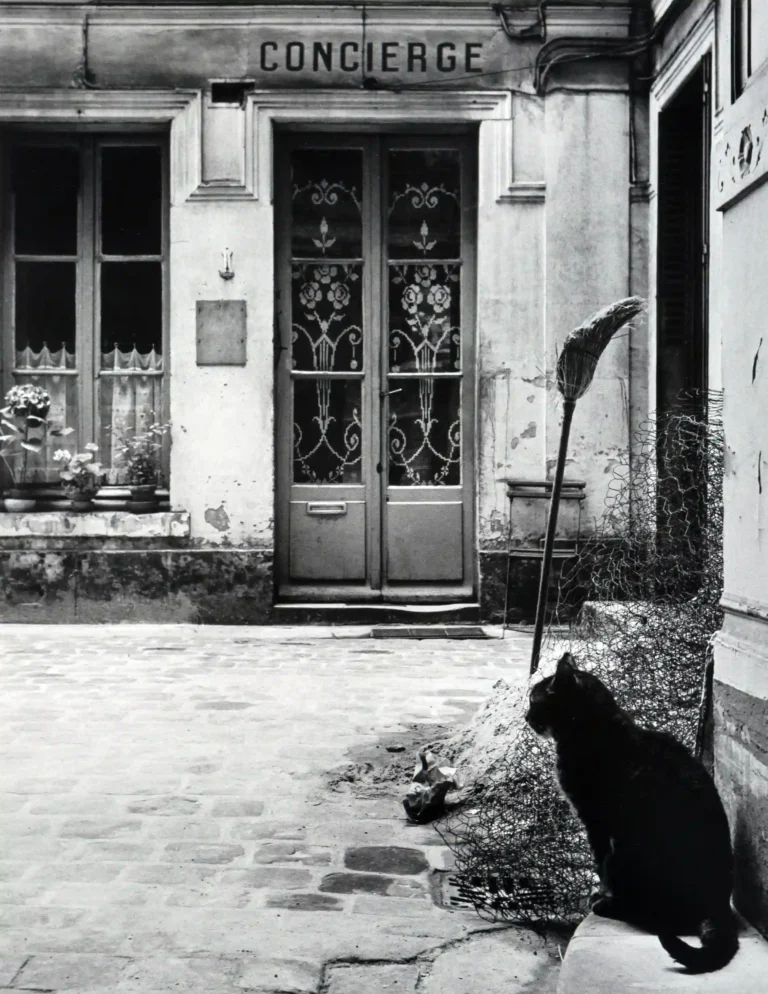 Janine Niepce poster showing a concierge cat on Rue de Tournon in 1957 Paris.